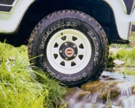 1985 Ford Bronco